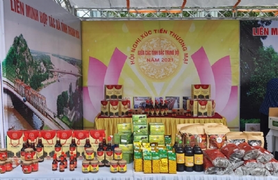 ​  👍 👍 Những hình ảnh đẹp của nước Mắm Vị Thanh cùng Liên Minh HTX tỉnh Thanh Hóa 🛒 tham dự xúc tiến thương mại tại Liên Minh HTX tỉnh Hà Tĩnh.🛒 